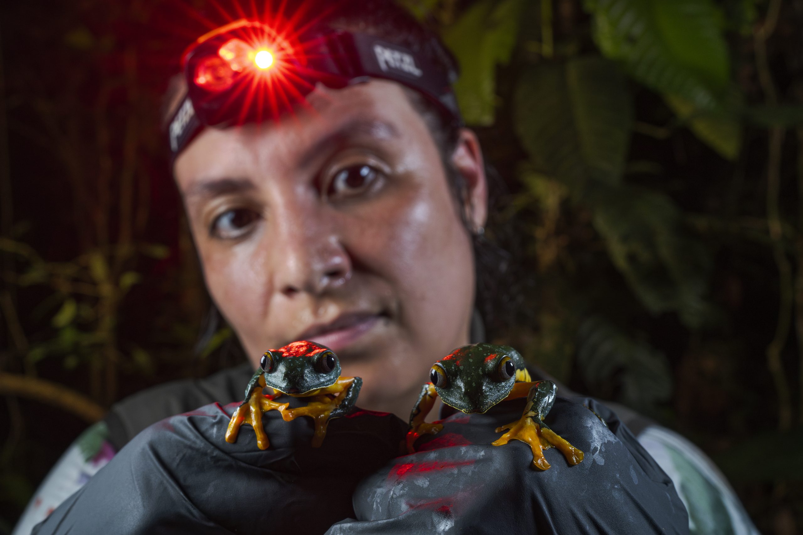 Daniela Pareja-Mejía