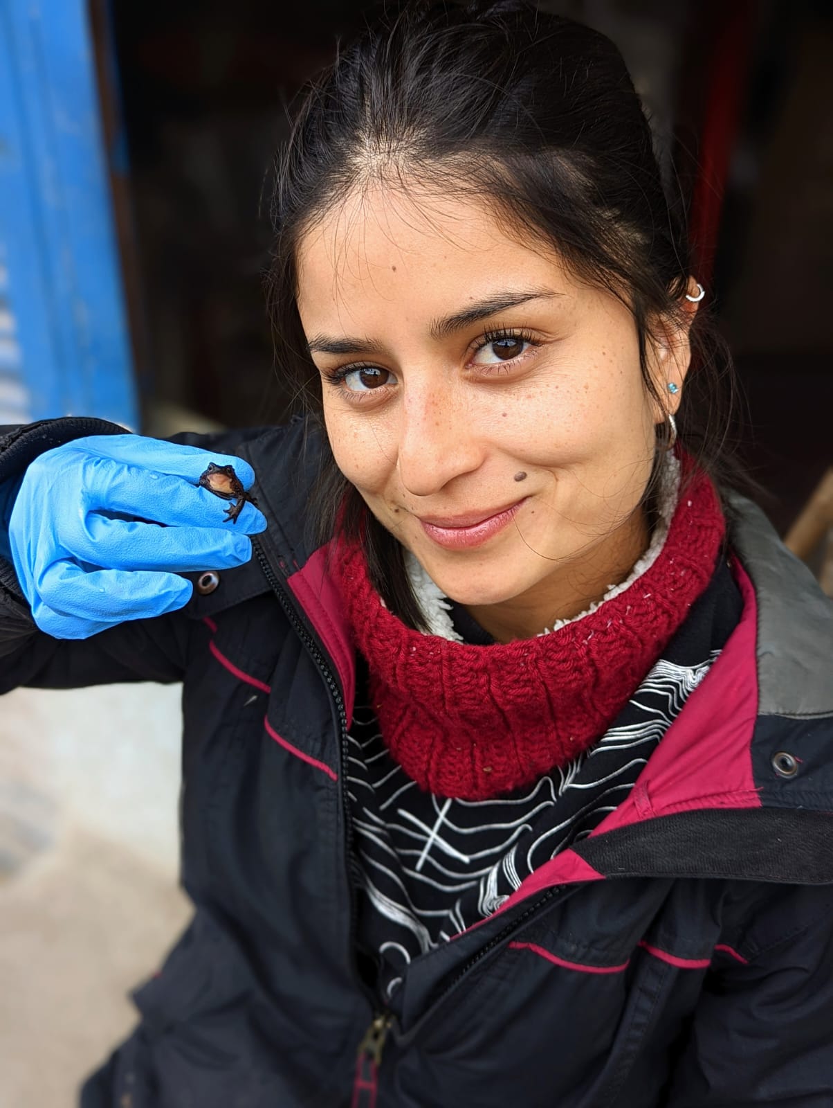 María José Navarrete Méndez