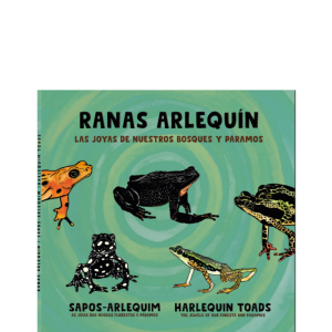 Ranas Arlequín: Las joyas de nuestros bosques y páramos